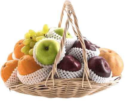 basket full groceries vegetables